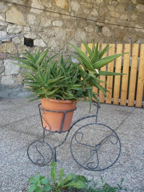 ברנצונה סול גארדה Appartamento Michela חדר תמונה